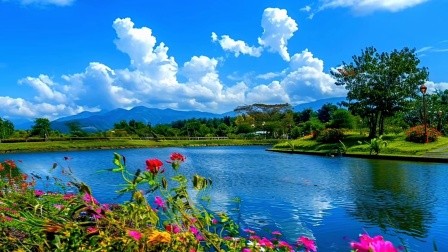 鼎上娱乐